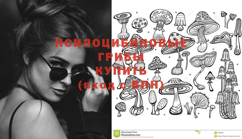 Галлюциногенные грибы MAGIC MUSHROOMS  Баксан 